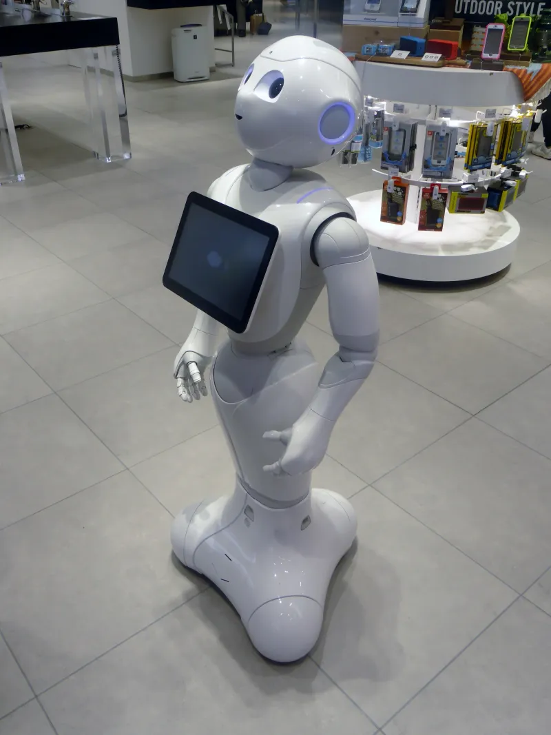 Pepper social companion robot illustrates the gap between expressive home robot demos and sustainable robot businesses