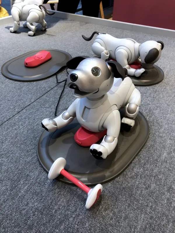 Sony aibo robot dog companion with expressive OLED eyes for home robot trust